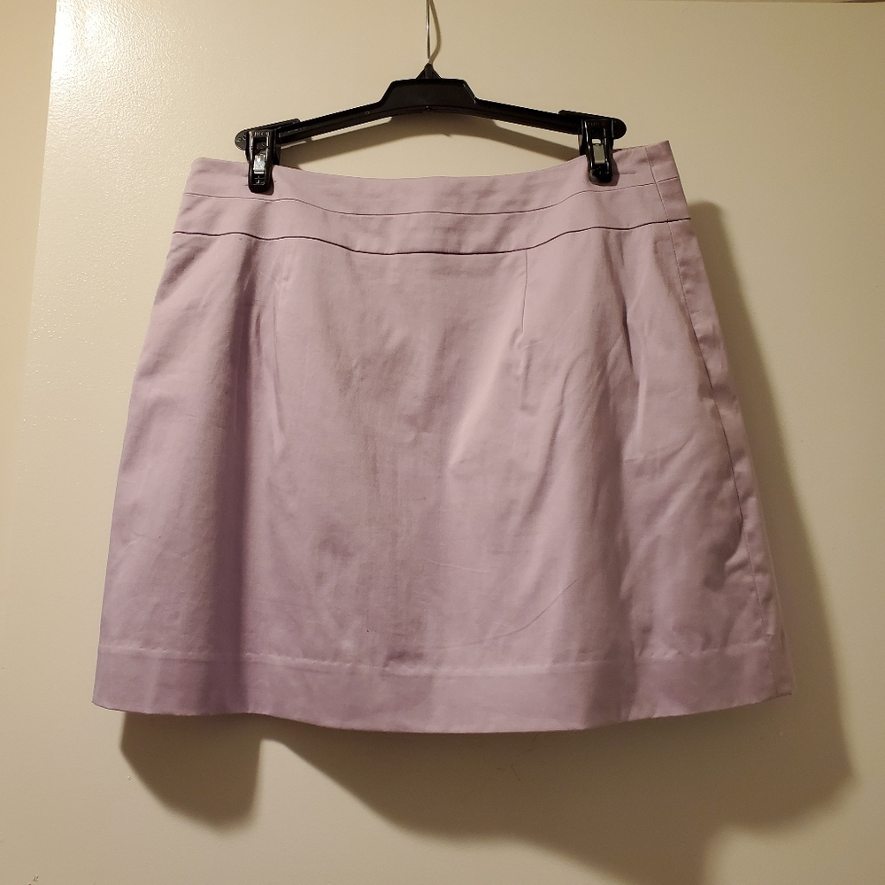 Banana Republic Mini Skirt